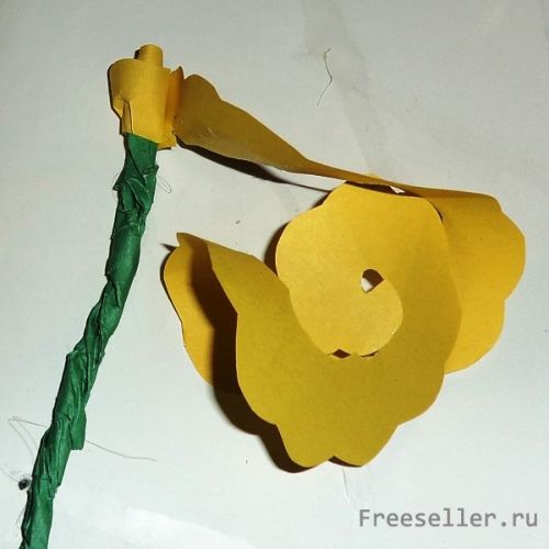 Делаем розы из бумаги своими руками