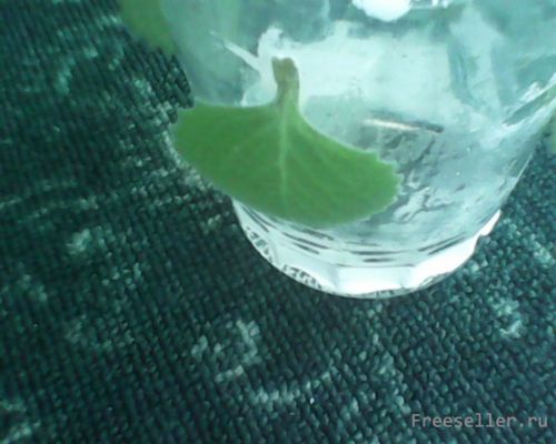 Ваза из бутылки своими руками - изготовление