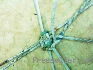 Вазы из газет и журналов своими руками - процесс изготовления