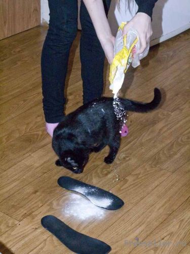 Следы Деда Мороза из муки своими руками