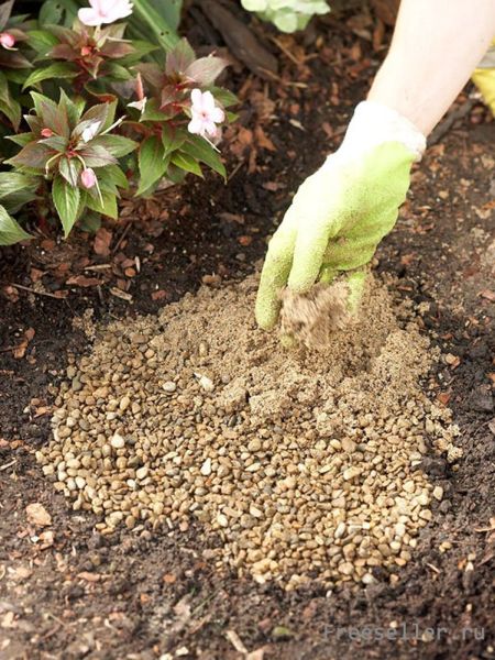 Самодельные дачные дорожки по форме листиков