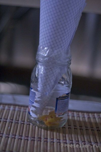 Простейшая ловушка для мошек своими руками