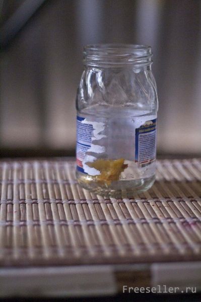 Простейшая ловушка для мошек своими руками