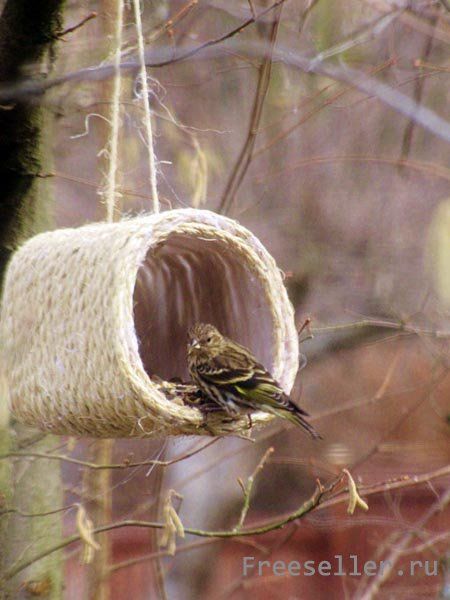 Кормушка для птиц из пластиковой бутылки
