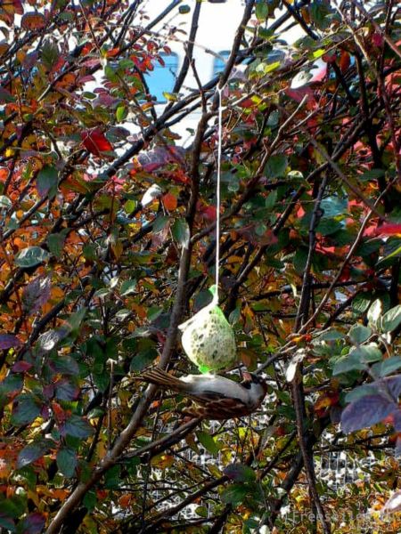 Узелок-кормушка для птиц из сетки