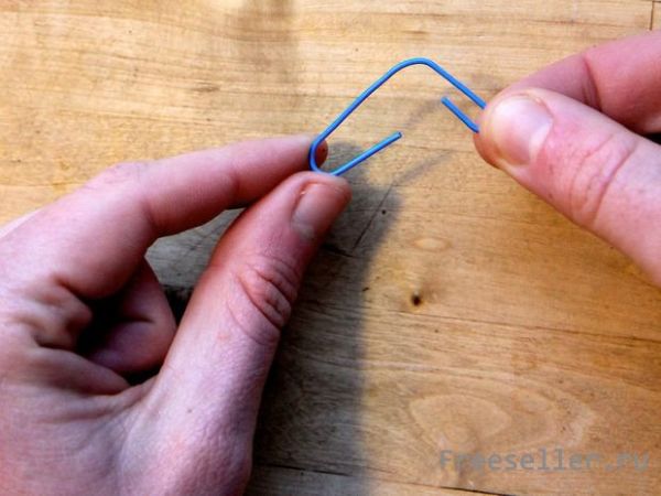 Как высушить пряные травы