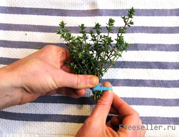 Как высушить пряные травы