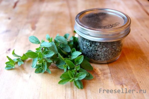 Как высушить пряные травы