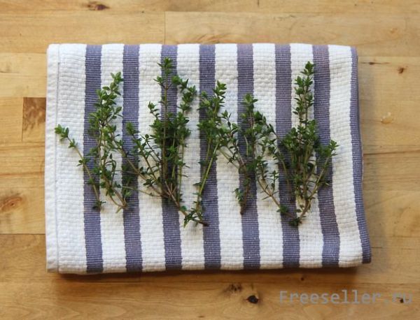 Как высушить пряные травы