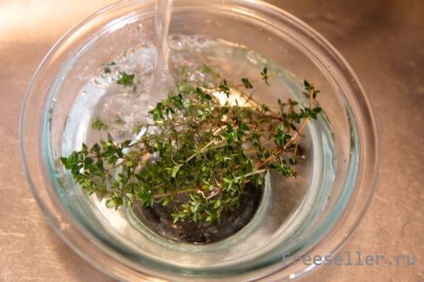 Как высушить пряные травы