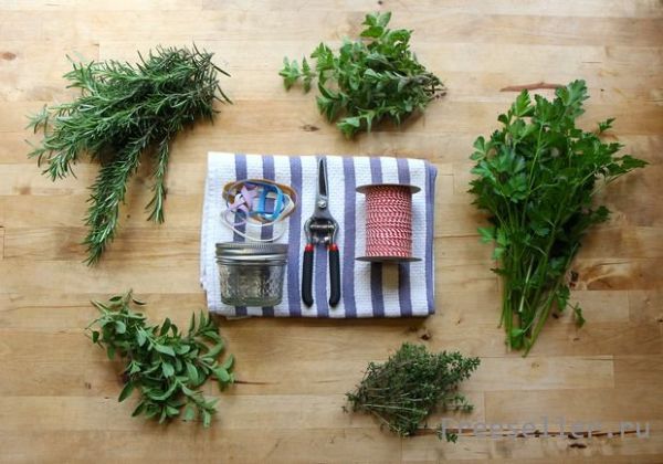 как высушить пряные травы