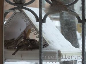 Птичья столовая из подручных материалов