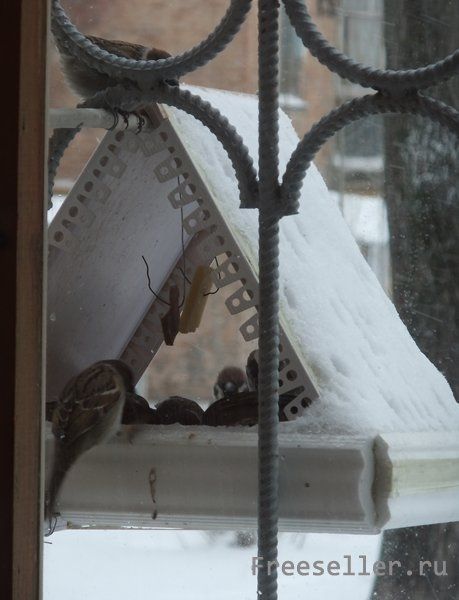 Птичья столовая из подручных материалов