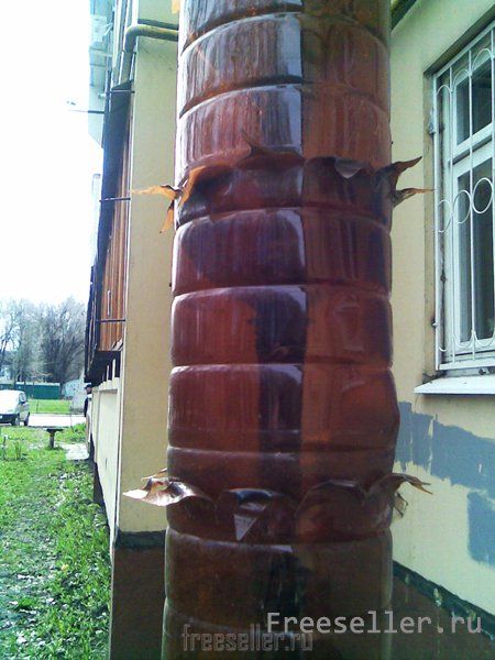 Вечнозеленая пальма из пластиковых бутылок