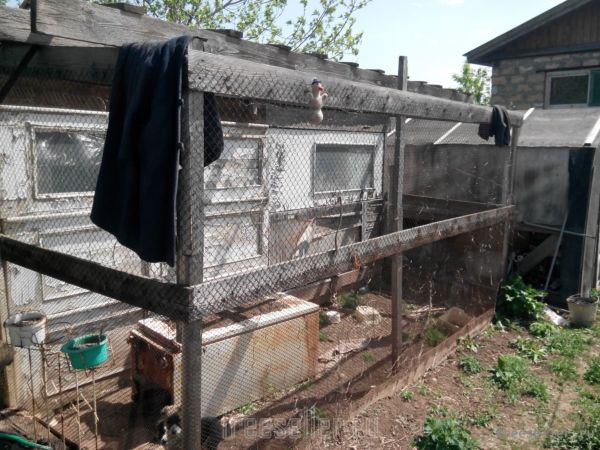 Курятник из старых дверей