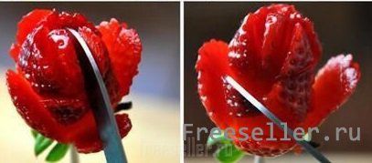 <p> <a class="highslide" href="https://www.freeseller.ru/uploads/posts/2014-06/1404151327_1403554096_5-kopiya-2.jpg" target="_blank"><img src="https://www.freeseller.ru/uploads/posts/2014-06/medium/1404151327_1403554096_5-kopiya-2.jpg" alt="Украшение для коктейля из клубники" class="fr-dib"></a> </p> <p> <p>Очень аппетитно и красочно выглядят розы из клубники, которыми можно украсить бокалы с коктейлем.</p>