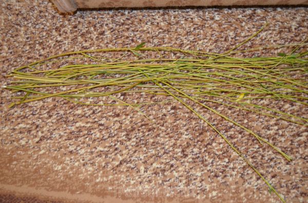 Процесс изготовления качелей для попугая