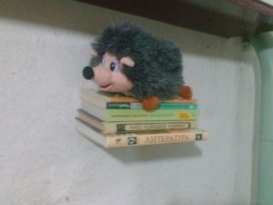 Полка - невидимка для книг и мягких игрушек