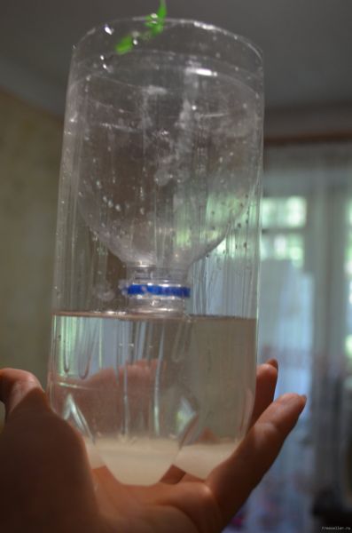 Процесс изготовления ловушки для насекомых