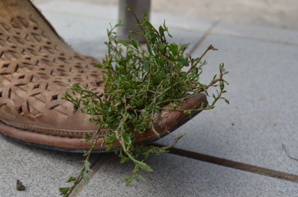 Цветочный горшок из ботинка