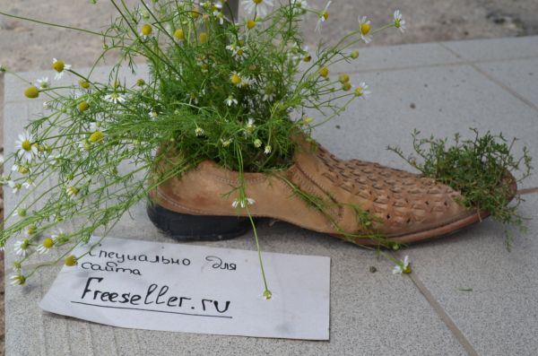 Цветочный горшок из ботинка