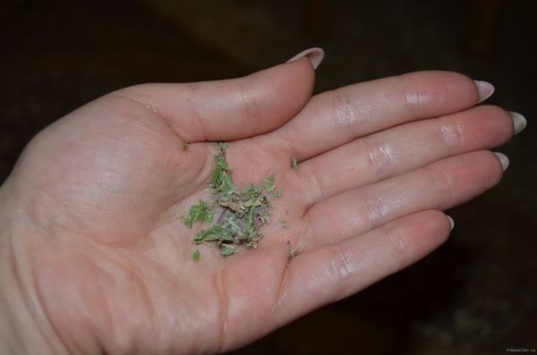 Изготовление подушечки депортации грызунов