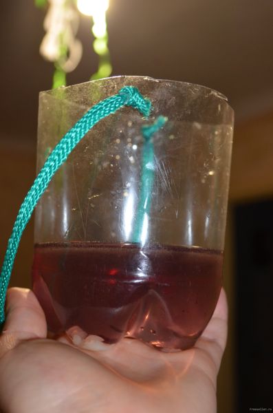 Ловушка для ос и моли из пластиковой бутылки