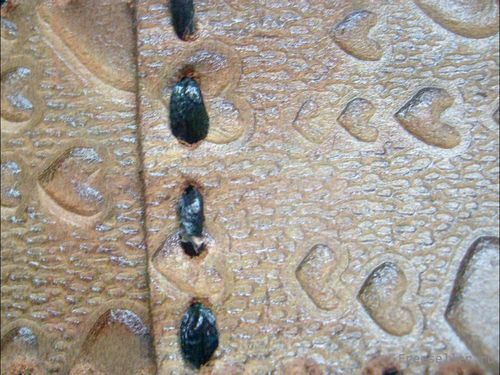 Процесс изготовления кожаного браслета своими руками