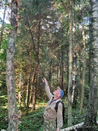 Оружие для тихой охоты за опятами