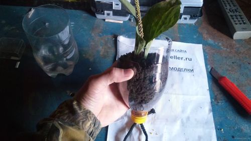 Автополив для растений из пластиковой бутылки