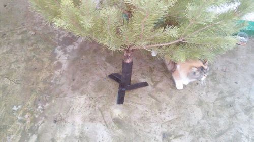 Процесс изготовления триноги для елки из металла