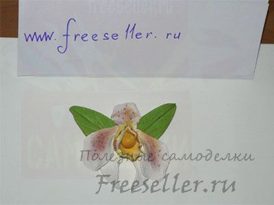 Аксессуар для волос "Орхидея" из полимерной глины