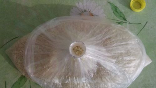 Как сделать крышку для пакета