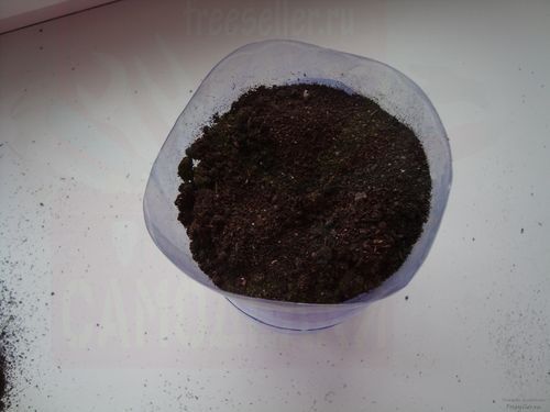 Процесс изготовления самоделки для выращивания цветов дома