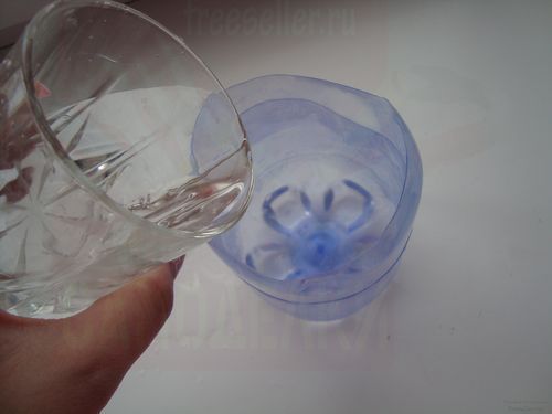 Выращивание цветов дома в пластиковых бутылках