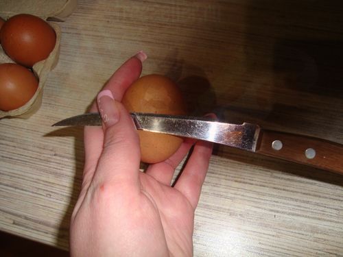 Выращивание растений в яичной скорлупе