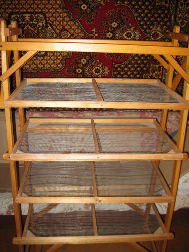 Вариант проращивания семенного картофеля в домашних условиях