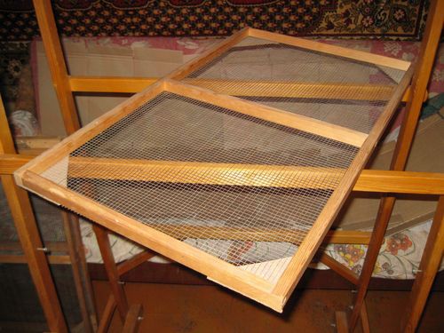 Вариант проращивания семенного картофеля в домашних условиях