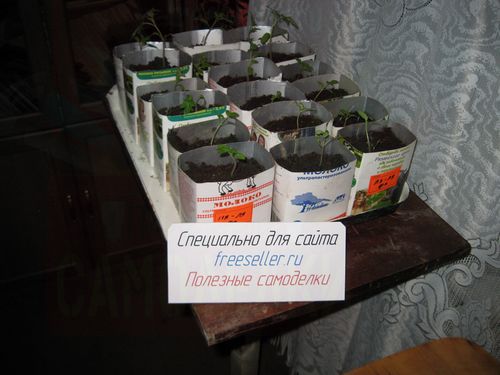 Выращивание рассады в картонных пакетах из-под молока и сока