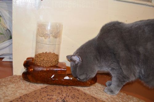 Кормушка для кота из пластиковой бутылки