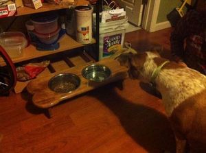 Стол для собак в форме любимого лакомства