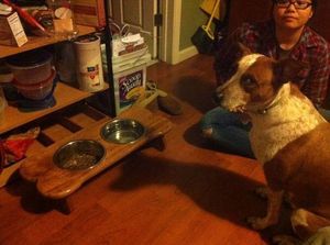 Стол для собак в форме любимого лакомства