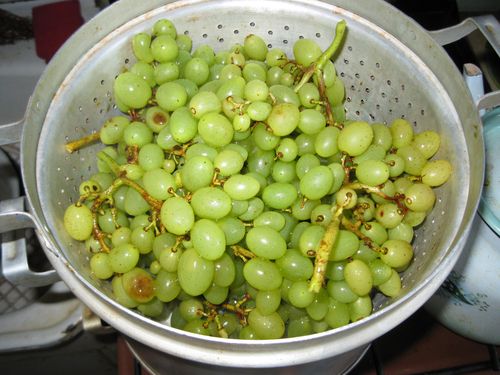 Как сделать домашнее вино из винограда