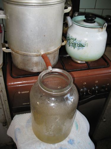 Как сделать домашнее вино из винограда