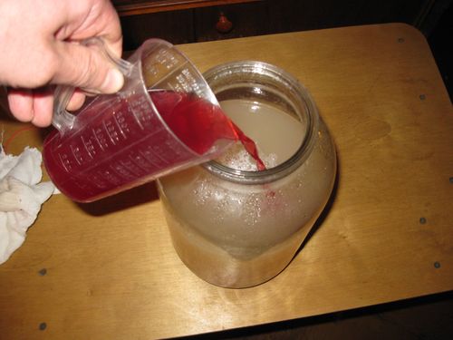 Как сделать домашнее вино из винограда