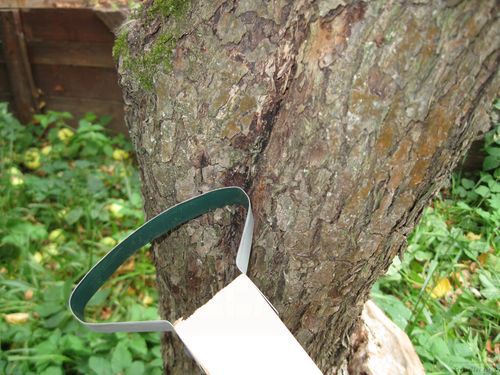 Скребок для чистки штамбов плодовых деревьев своими руками