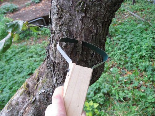 Скребок для чистки штамбов плодовых деревьев своими руками