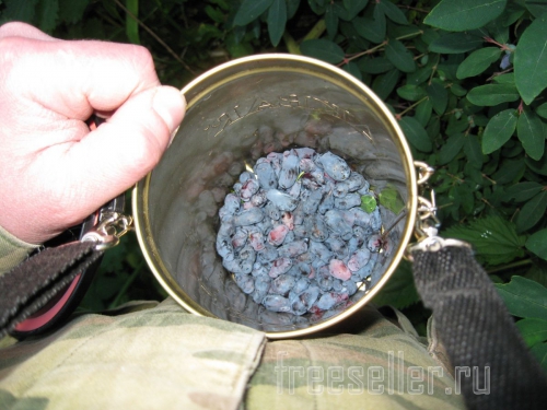 Удобный контейнер для сбора ягод на даче и в лесу