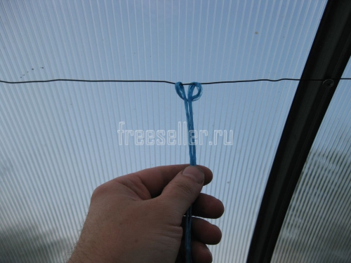 Подвязка огурцов в теплице