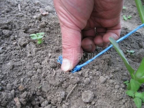 Подвязка огурцов в теплице